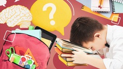 Облегчить груз знаний: избавят ли ставропольских школьников от домашних заданий